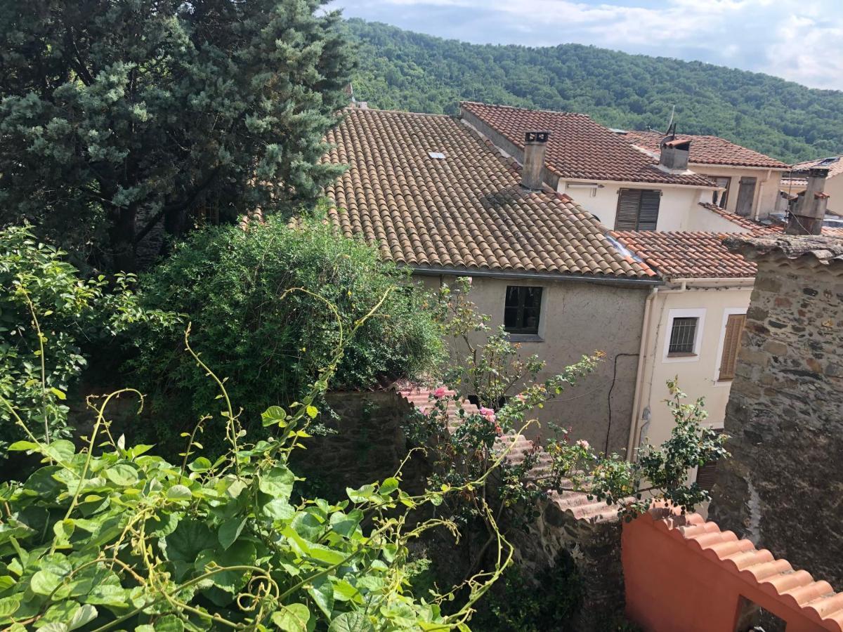 La Provence Authentique A 30 Minutes Des Plages Collobrières Kültér fotó